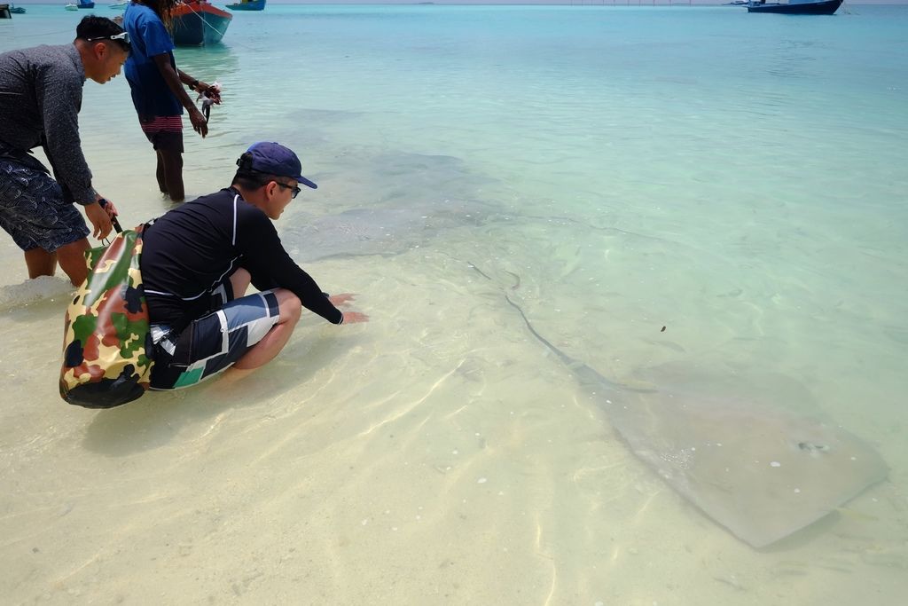 DSCF0140.JPG DSCF0140.JPG