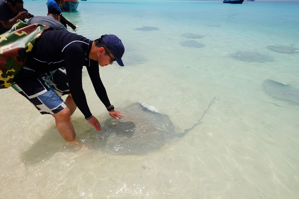 DSCF0142.JPG DSCF0142.JPG