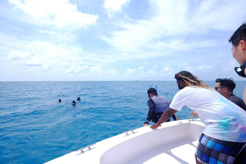 DSCF0207.JPG DSCF0207.JPG