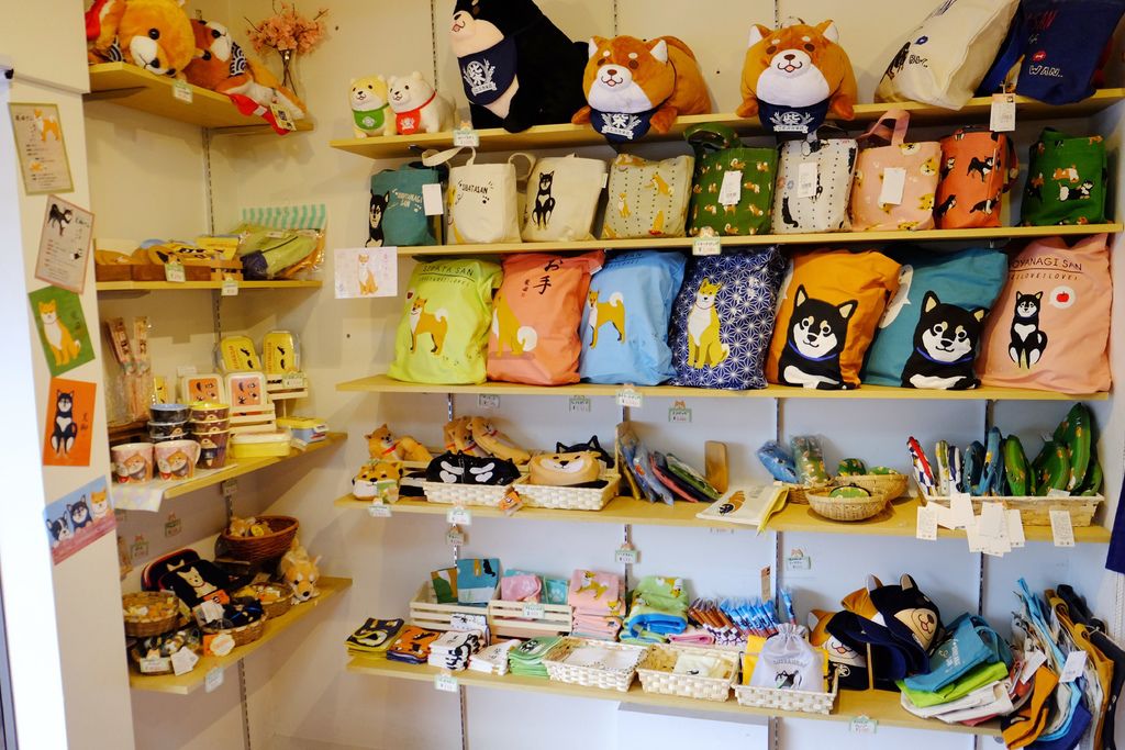 DSCF5462.JPG DSCF5462.JPG