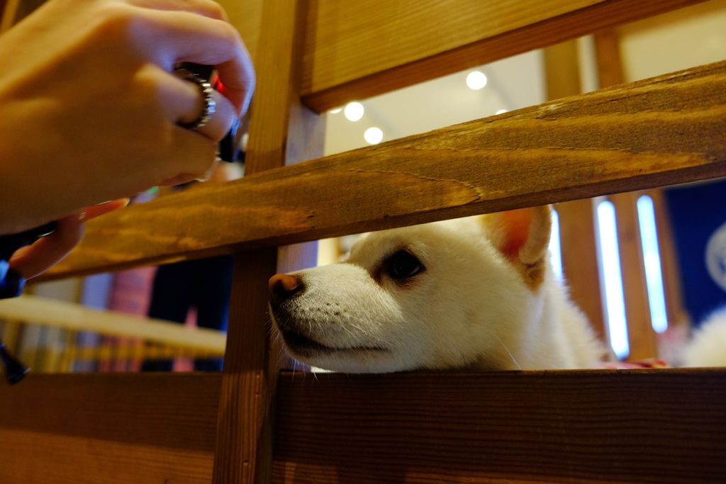 DSCF5467.JPG DSCF5467.JPG