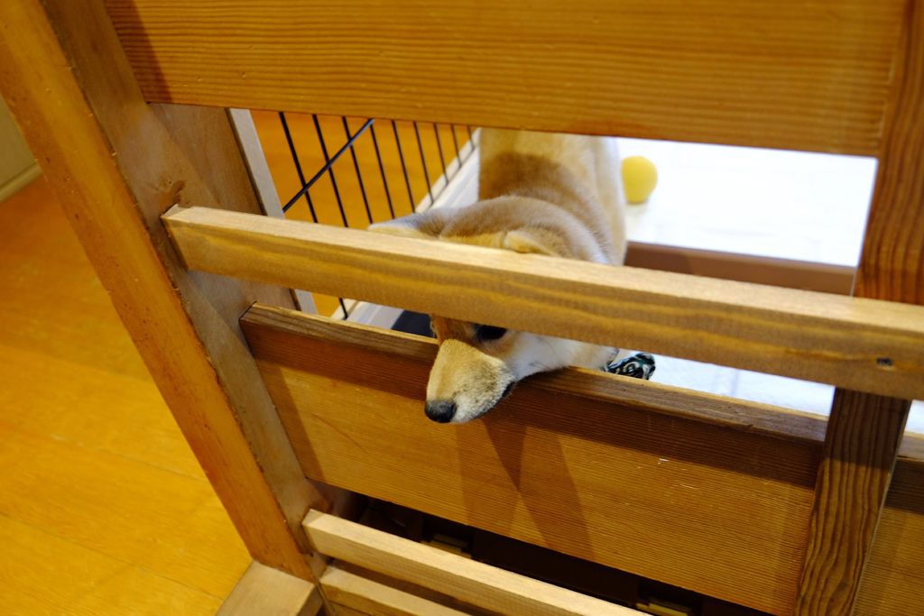 DSCF5556.JPG DSCF5556.JPG