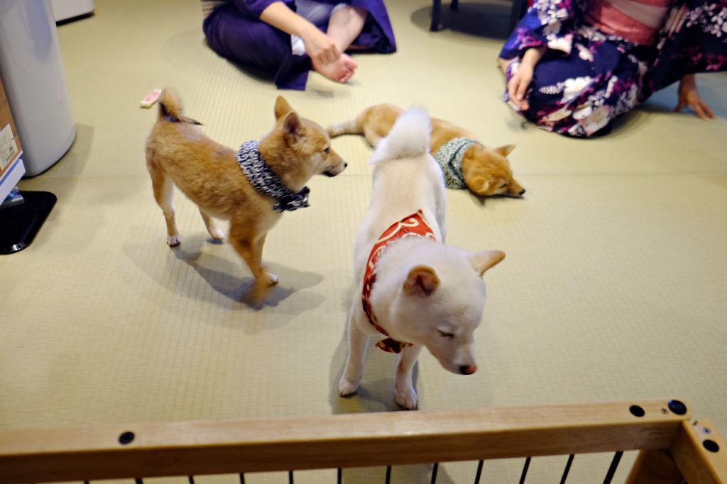 DSCF5469.JPG DSCF5469.JPG