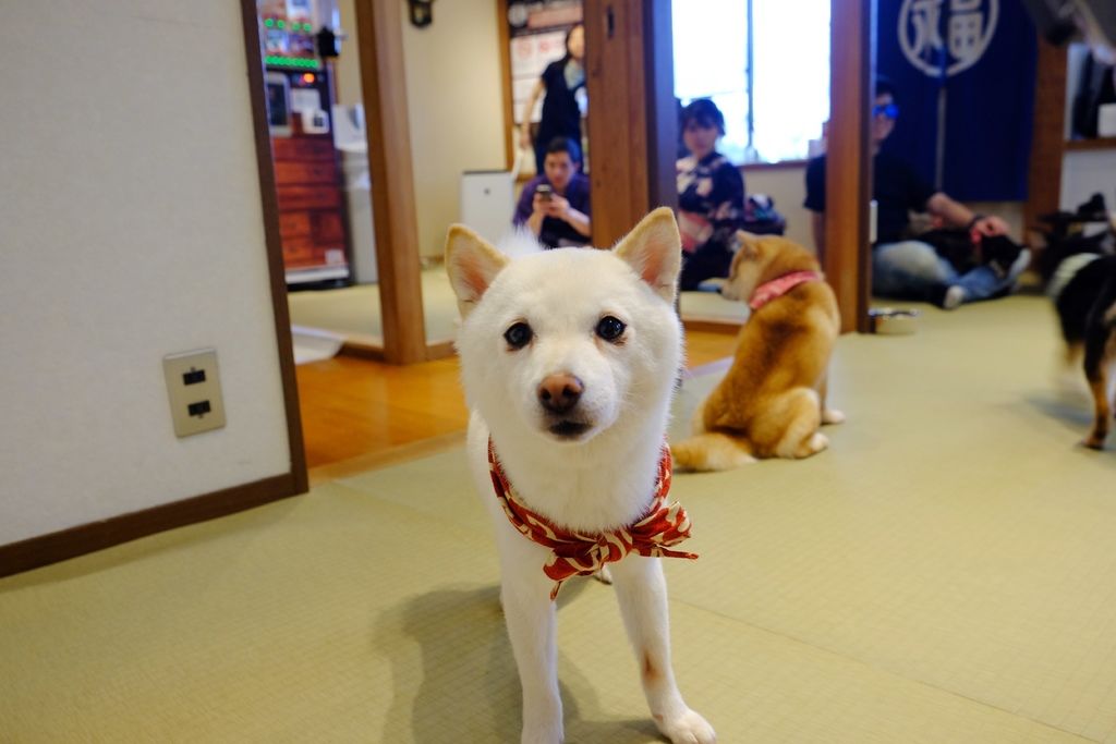 DSCF5472.JPG DSCF5472.JPG