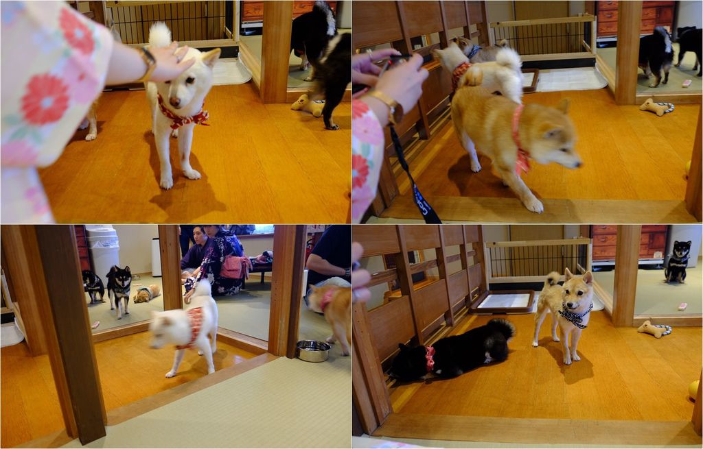 DSCF5489.JPG DSCF5489.JPG