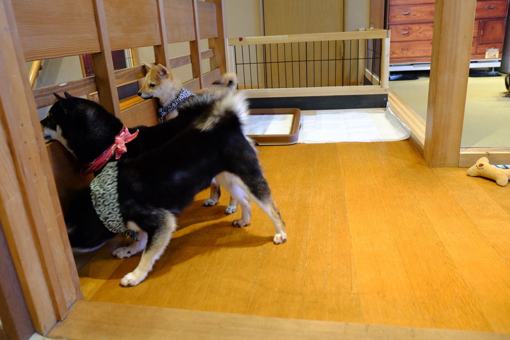 DSCF5492.JPG DSCF5492.JPG