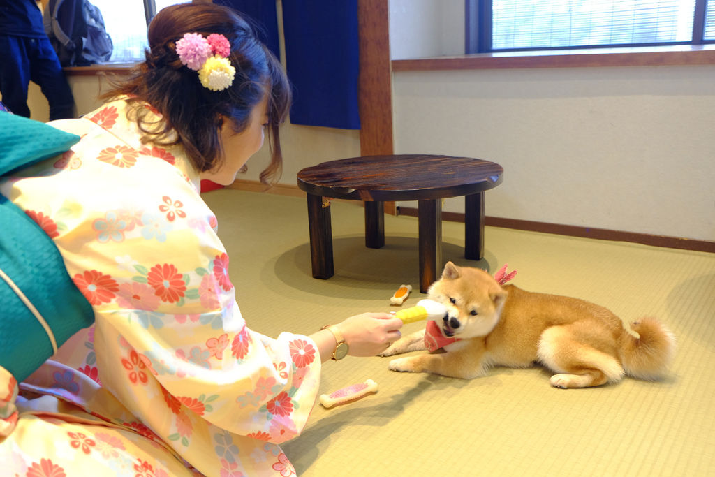 DSCF5522.JPG DSCF5522.JPG