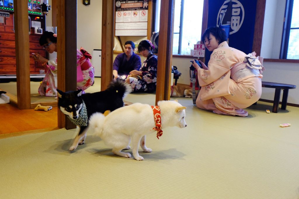 DSCF5528.JPG DSCF5528.JPG