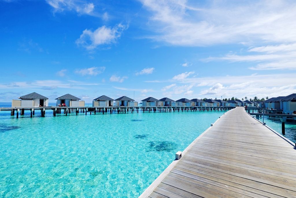 DSCF1077.JPG DSCF1077.JPG