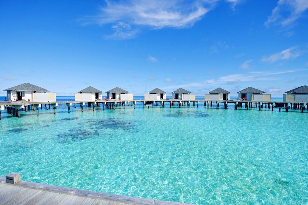 DSCF1078.JPG DSCF1078.JPG