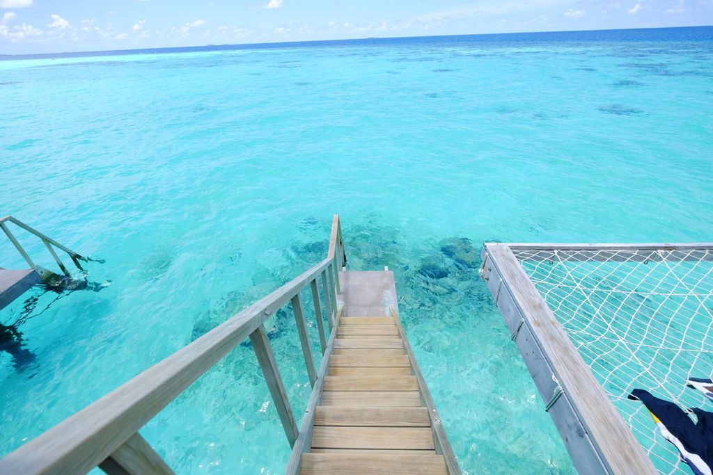 DSCF1502.JPG DSCF1502.JPG