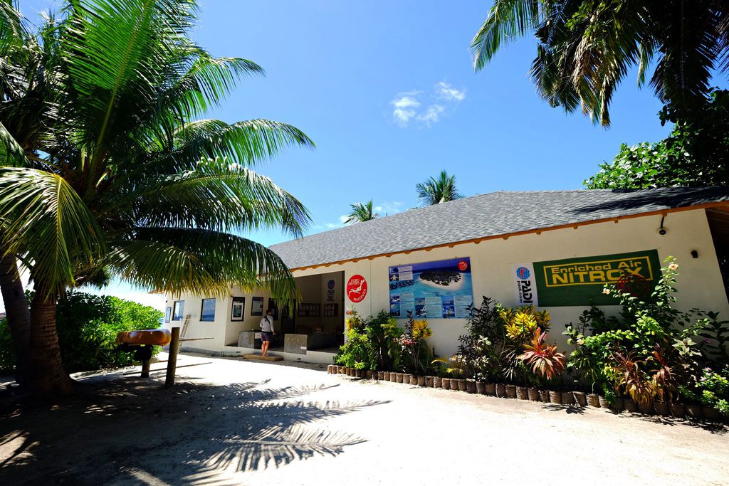 DSCF1200.JPG DSCF1200.JPG