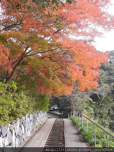 宇治川畔.JPG