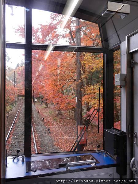 紅楓列車D.JPG