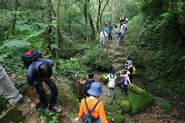 20061014汐止大尖山四分尾山茄冬瀑布 075.jpg