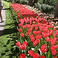 20130503-083.jpg