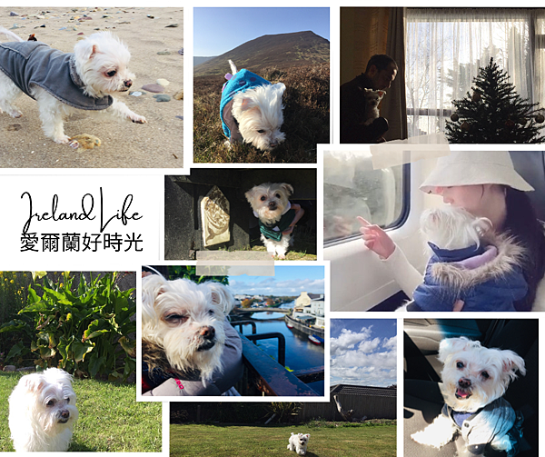 IrelandLife 愛爾蘭好時光.png