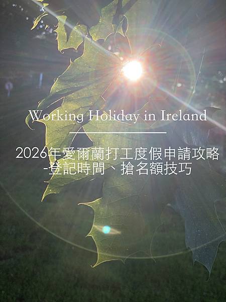 2026年愛爾蘭打工度假申請.jpg