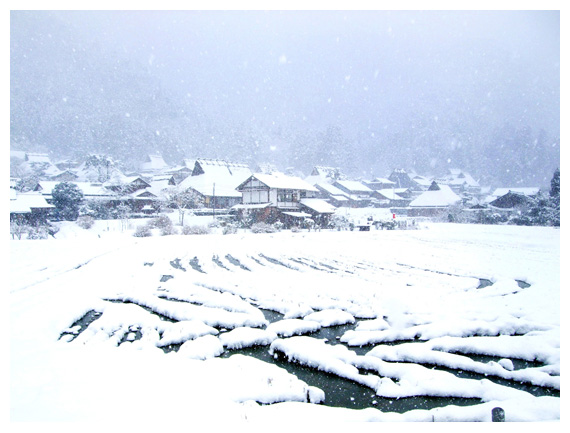 白雪紛紛的夢幻合掌村