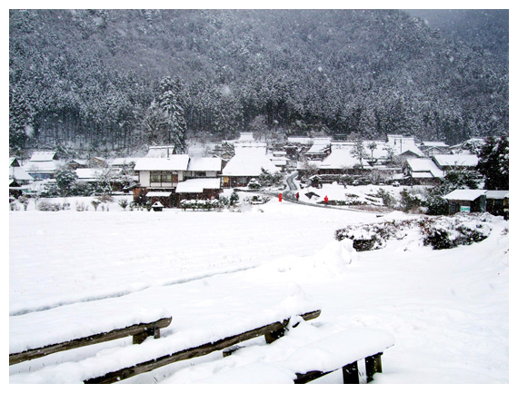 前方一大片是被皚皚白雪掩蓋了的田