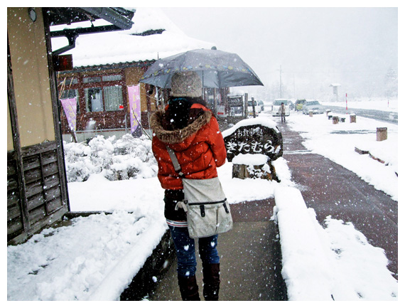 雪下得有些大，趕緊覓食躲雪去