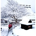 雪中的村莊小徑