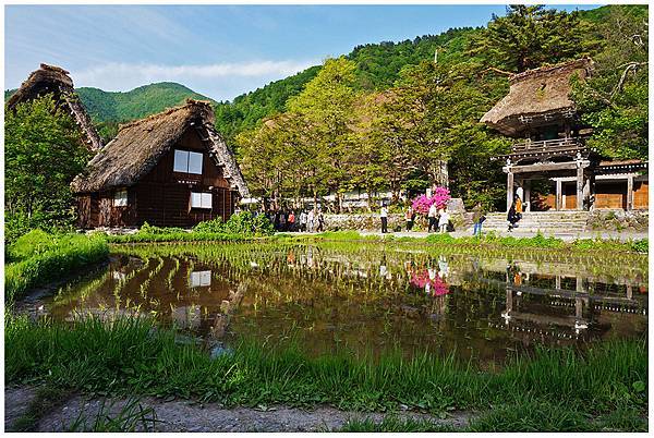 合掌村與神社