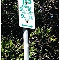 斜角停車指示.JPG