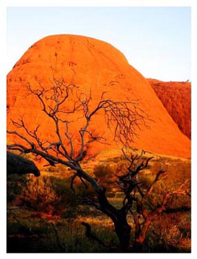 黃昏時分的Kata Tjuta.JPG