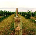 Brooga Vineyard-2.JPG