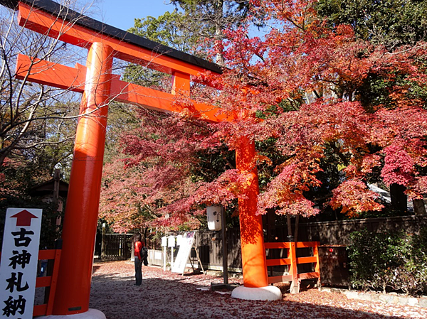 京都 秋末冬初的楓紅 下鴨神社 賀茂御祖神社 糺之森plus 交通方式 Iris Traveling Memory 痞客邦