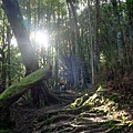 DSCF2284_S.JPG