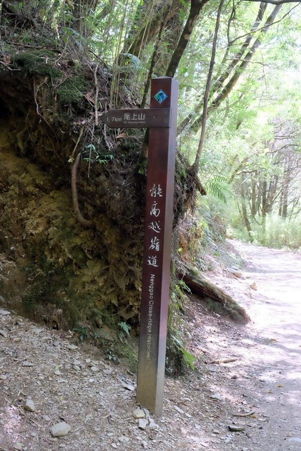 奇萊南華丨D1。雲天宮往天池山莊