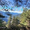 IMG_1673_S.JPG
