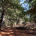 DSCF3215_S.JPG