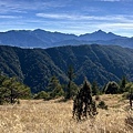IMG_1684_S.JPG