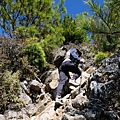 DSCF3255_S.JPG