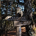 DSCF3324_S.JPG