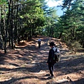 DSCF3327_S.JPG