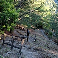DSCF3330_S.JPG