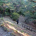 DSCF3334_S.JPG