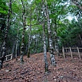 DSCF3346_S.JPG