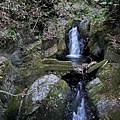 IMG_1720_S.JPG
