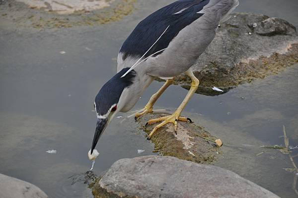 DSC_4350.JPG DSC_4350.JPG