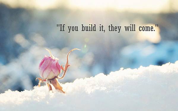 "If you build it, they will come."