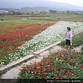 花海