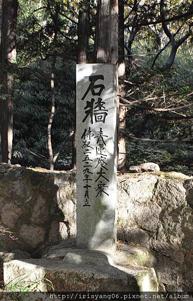 DSC_0137.JPG