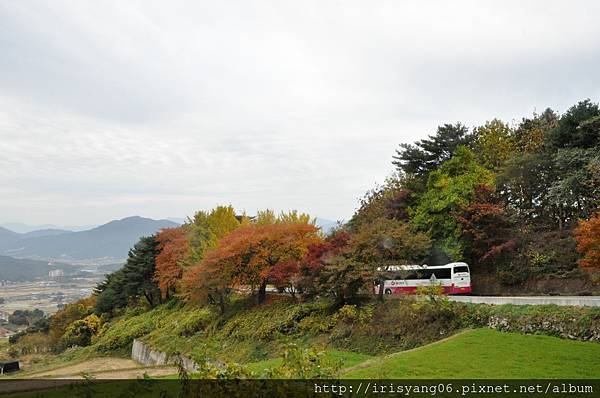 佛國寺 (9).JPG