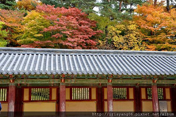 佛國寺 (69).JPG