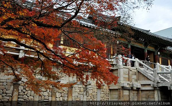 佛國寺 (98).JPG